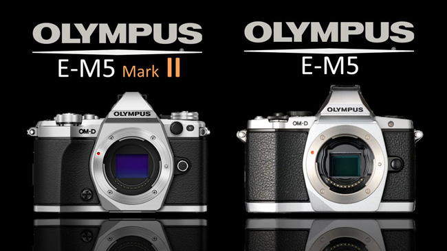 Olympus E M5 compare